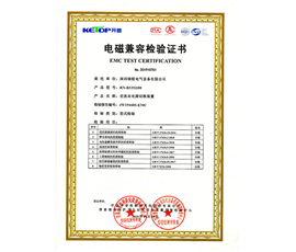 Electromagnetic compatibility inspection certificate for AC dual power supply switching device